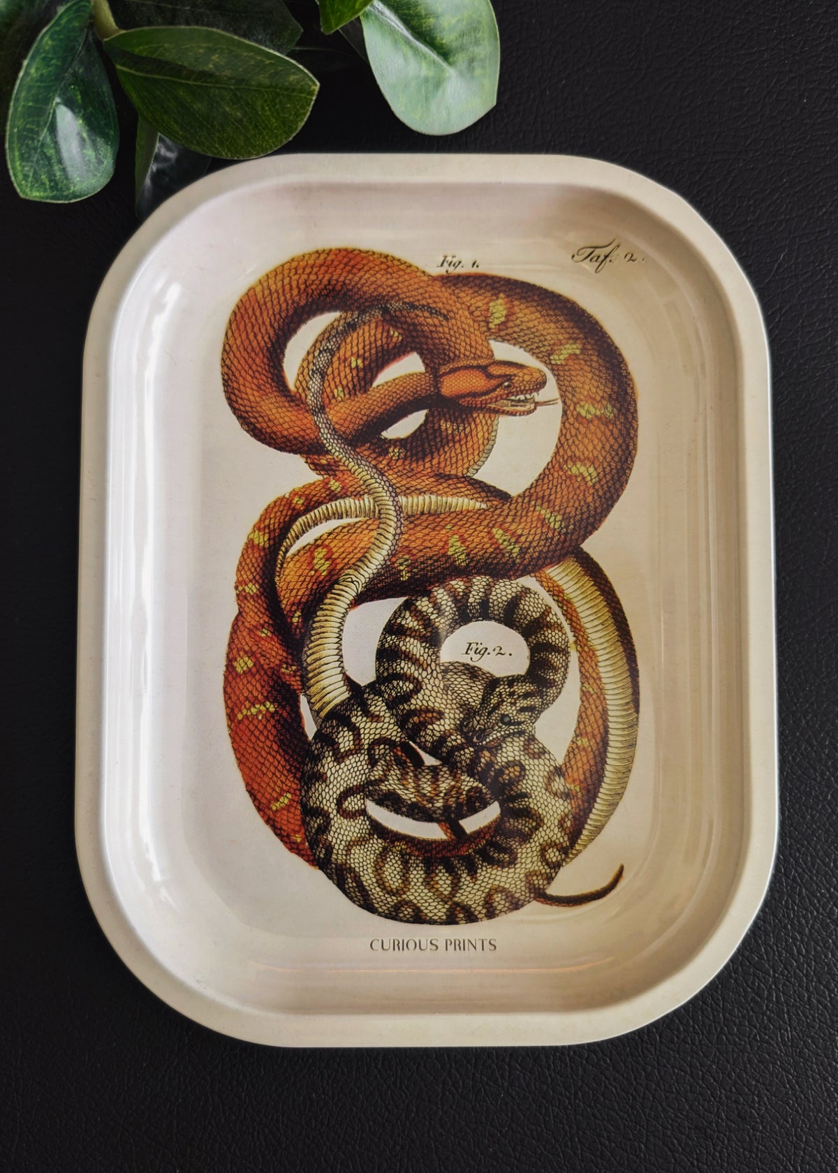 Snake Metal Catch-All Tray